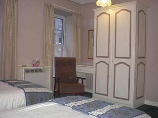 Отели типа «постель и завтрак» Ilenroy House Скибберин Стандартный двухместный номер с 2 отдельными кроватями-2